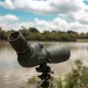 Штатив Vanguard Vesta Go 264CV12 (Vesta Go 264CV12)