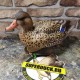 Опудала крижні качок Greenhead серія Pro-Grade XD Early Season компл.3 шт.