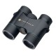 Бинокль Leupold 10x32 