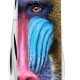 Ніж Victorinox Tinker Animal 91мм,12функ ,Мавпа Мандрил