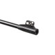 Гвинтівка пневматічна Gamo BLACK 1000 IGT