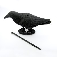 Ворон великий