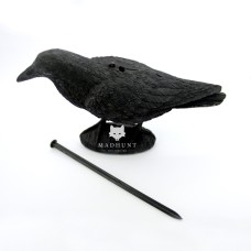 Ворон великий