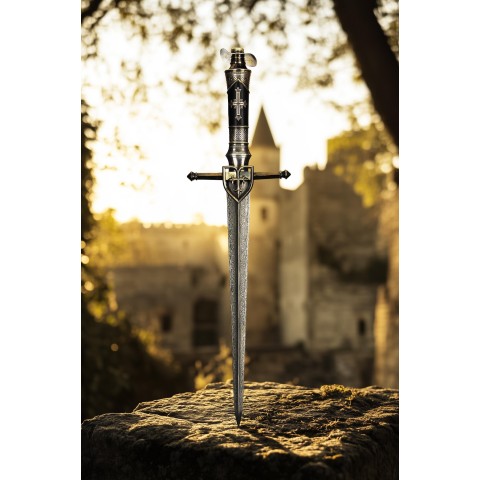 Набір кортиків 