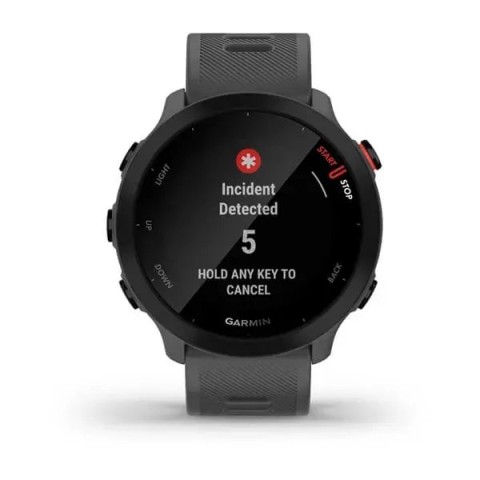 Смарт-годинник Garmin Forerunner 55 з сірим ремінцем