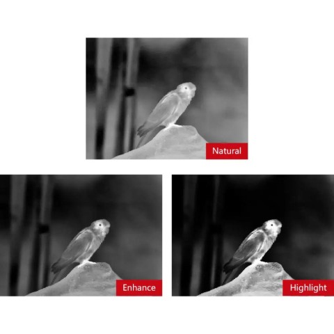 Бінокуляр тепловізійний Guide TN650 2,8-22,4x50 640x480@12μm VOx з далекоміром 1500 м