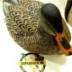 Чучела кряквы Поздний Сезон TOPFLIGHT Late Season Topflight Mallards 4 селезня и 2 утки фирмы Avian-X