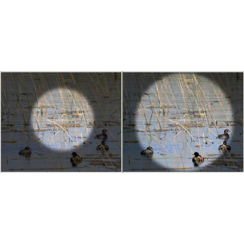 Бінокль Kowa BD II 10x42 XD (11899)