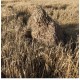 Маскхалат (леший). Цвет светлый камыш