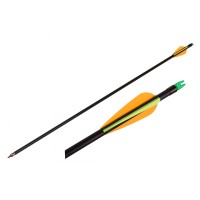 Стрела-5001 (стекловолокно)