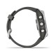 Смарт-часы Garmin fenix 7S серебристые с ремешком графитового цвета