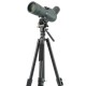 Штатив Vanguard Vesta Go 234AV10 (Vesta Go 234AV10)