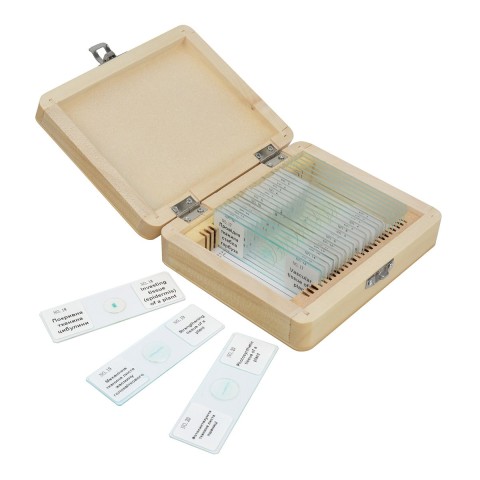 Набір мікропрепаратів SIGETA ADVANCE Ботаніка (20 шт.)