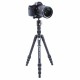 Штатив Vanguard VEO 3T+ 264AP (VEO 3T+ 264AP)