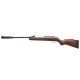 Пневматична гвинтівка Gamo Hunter CSI