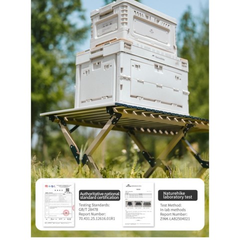 Складаний стіл Naturehike Star Jane T01 CNK2550JJ018, 119х60 см, вуглецева сталь, чорний