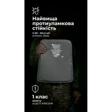 Балістичні пакети під бронежилет Crye Precision AVS (1 клас | XL | 2 шт. | 1220 г | НВМПЕ ✡ Ізраїль) ТМ Балістика