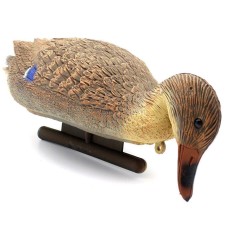 Качка кормящаяся