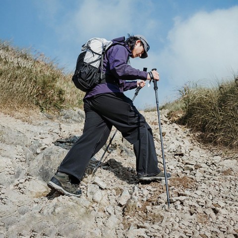 Трекінгова палиця Naturehike CNK2450DS017, 130 см, чорна