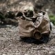 Кружка Barebones Kuksa 8oz 240 мл, з натурального дерева акації коричневый