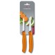Кухонний ніж Victorinox SwissClassic Paring лезо 8см з помар. ручкою 2шт (блістер)