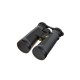 Бинокль LEUPOLD BX-2 Alpine 10x52mm Roof тёмно-серый