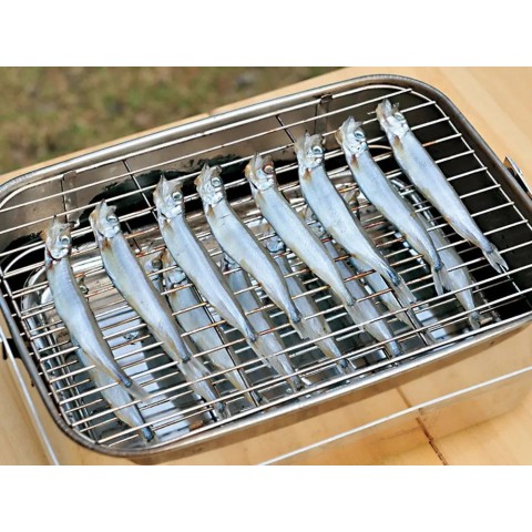 Коптильня для рыбы Snow Peak Compact Smoker CS-092