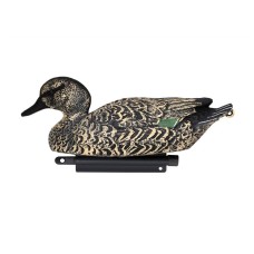 Чирок самка сірий