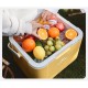 Туристичний холодильник Naturehike CNK2450CF012, 18 л, зелений