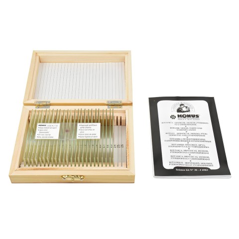 Набір мікропрепаратів KONUS Ботаніка: Мохи, папоротеві, голонасінні (25 шт.)