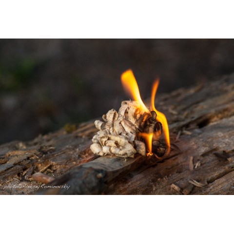 Ніж Ganzo G8012-BK чорний (G8012-BK)