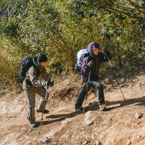 Трекінгова палиця 3-секційна Naturehike ST06 NH17D006-D, 66-135 см, зелена