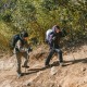 Трекінгова палиця 3-секційна Naturehike ST06 NH17D006-D, 66-135 см, зелена