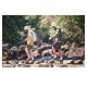 Трекінгова палиця Naturehike CNK2550DS012, 61-125 см, синя
