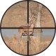 Прицел Leupold VX-3 3.5-10x40mm Boone & Crockett