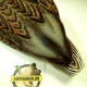 Чучела кряквы Поздний Сезон TOPFLIGHT Late Season Topflight Mallards 4 селезня и 2 утки фирмы Avian-X