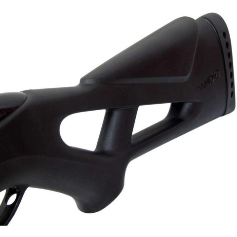 Пневматическая винтовка Gamo Whisper Maxxim IGT