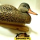 Чучела кряквы Поздний Сезон TOPFLIGHT Late Season Topflight Mallards 4 селезня и 2 утки фирмы Avian-X