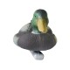 Подсадное чучело Birdland птенец КРЯКВЫ самец