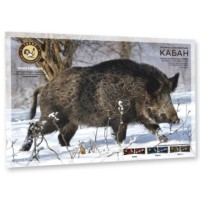 Мішень для стрільби 