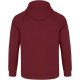 Худи Favorite Rotten L Burgundy