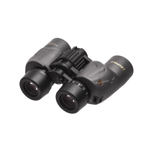 Бинокль Leupold BX-1 Yosemite 10x30mm Porro Shadow Grey