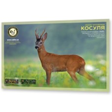 Мішень для стрільби 