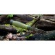 Нож Morakniv Outdoor 2000, stainless steel ц:зеленый