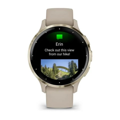 Смарт-часы Garmin Venu 3s французский серый с золотистым стальным безелем и силиконовым ремешком