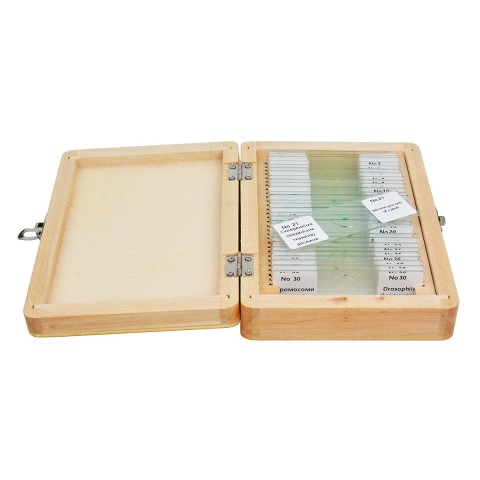 Набір мікропрепаратів SIGETA ADVANCE Загальна біологія (30 шт.)