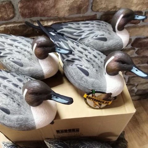 Опудала шилохвости Greenhead Life-Size комп. 6 шт.