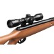 Гвинтівка пневматична Crosman 