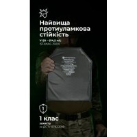 Балістичний пакет під бронеплиту (1 клас | L | 27×33 см | 520 г | НВМПЕ ✡ Ізраїль) ТМ Балістика