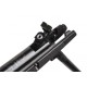 Пневматическая винтовка Gamo Black Bear